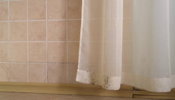 Mold Documentation for Insurance Claims in Rotonda, FL