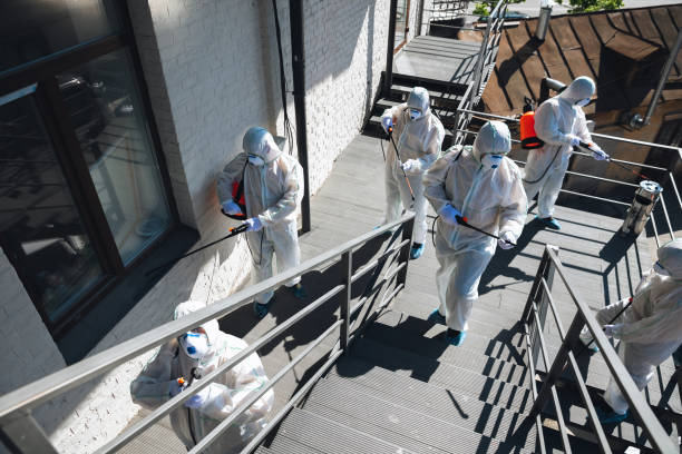 Best Emergency Mold Remediation  in Rotonda, FL