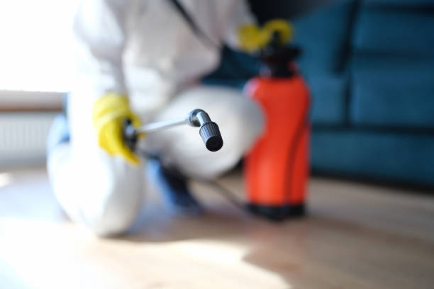 Best Biohazard Mold Removal  in Rotonda, FL