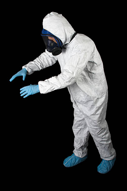 Environmental Consulting for Mold Prevention in Rotonda, FL