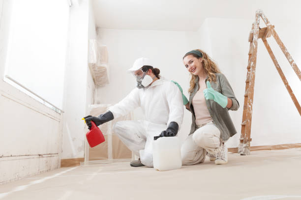 Best Crawl Space Mold Remediation  in Rotonda, FL